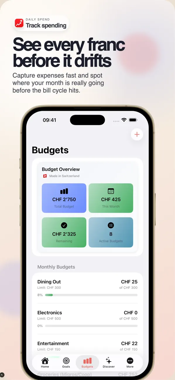 SwissSave: Budget & Tax screenshot