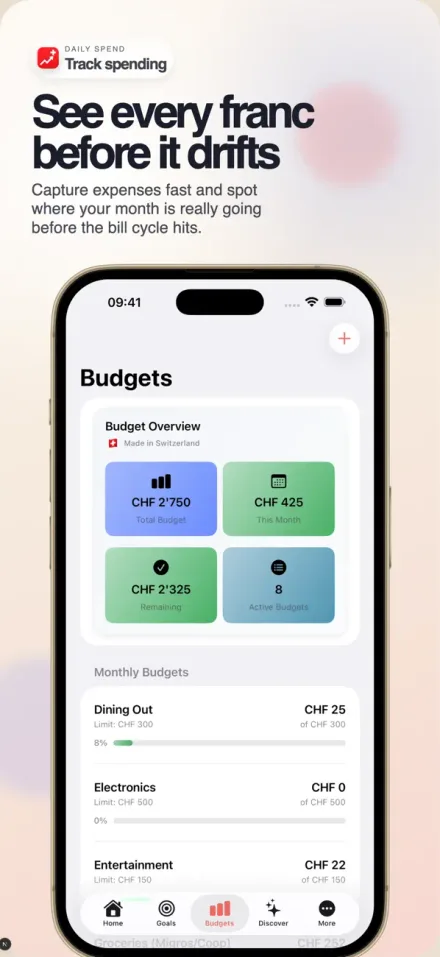 SwissSave: Budget & Tax screenshot